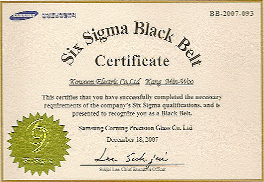 Six Sigma Black Belt - 강민우